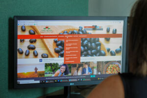 An image depicting a woman viewing the Bean Institute webpage